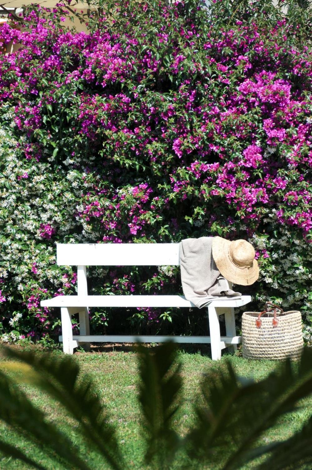ホテル Casa Le Agavi ポルトフェッラーイオ エクステリア 写真